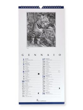 Calendario Beware of Cats 2027 — Calendario - 2