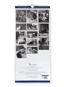 Calendario Beware of Cats 2027 — Calendario - 4