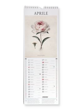 Calendario Botanica 2027 — Calendario - 2
