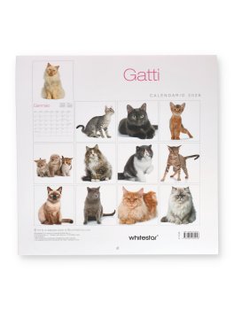 Calendario Gatti 2026 — Calendario - 4
