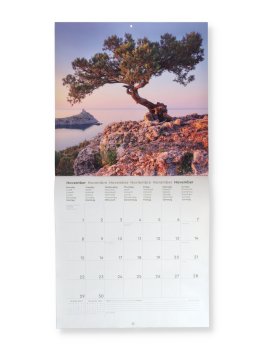 Calendario da Parete Alberi Secolari 2027 — Calendario - 2