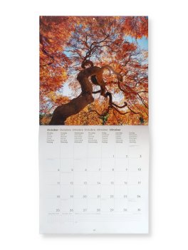 Calendario da Parete Alberi Secolari 2027 — Calendario - 3
