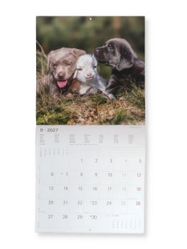 Calendario da Parete Amicizie tra Animali 2027 — Calendario - 2