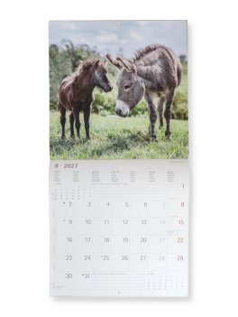 Calendario da Parete Amicizie tra Animali 2027 — Calendario - 3