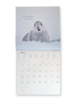 Calendario da Parete Animali Divertenti 2027 — Calendario - 2