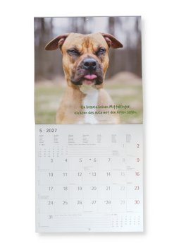Calendario da Parete Animali Divertenti 2027 — Calendario - 3