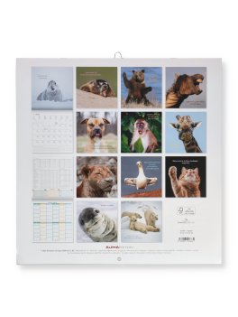 Calendario da Parete Animali Divertenti 2027 — Calendario - 4