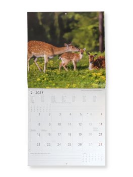 Calendario da Parete Baby Animals 2027 — Calendario - 2
