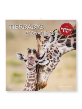 Calendario da Parete Baby Animals 2027 — Calendario - 1