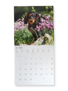 Calendario da Parete Cani 2027 — Calendario - 2