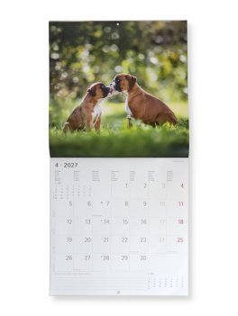 Calendario da Parete Cani 2027 — Calendario - 3