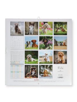 Calendario da Parete Cani 2027 — Calendario - 4