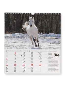 Calendario da Parete Cavalli 2027 — Calendario - 2