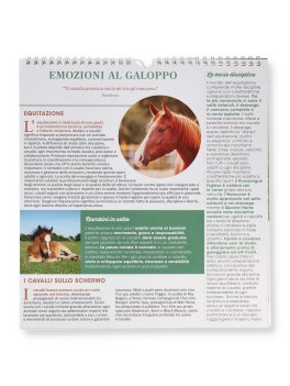 Calendario da Parete Cavalli 2027 — Calendario - 3