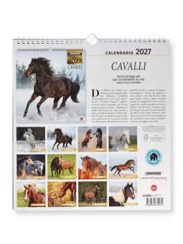 Calendario da Parete Cavalli 2027 — Calendario - 4