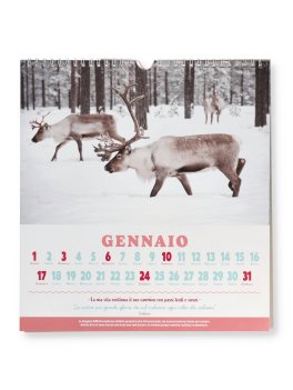 Calendario da Parete della Felicità 2027 — Calendario - 2