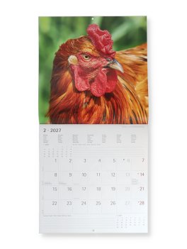 Calendario da Parete Galline 2027 — Calendario - 2
