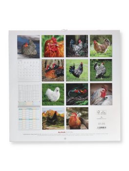 Calendario da Parete Galline 2027 — Calendario - 4