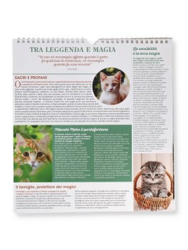 Calendario da Parete Gatti 2027 — Calendario - 5