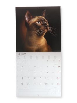 Calendario da Parete Gatti 2027 — Calendario - 2