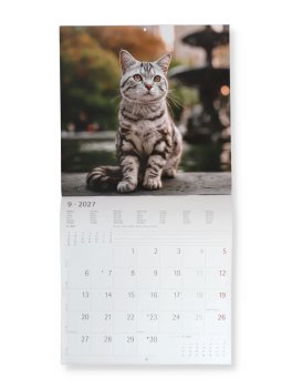 Calendario da Parete Gatti 2027 — Calendario - 3