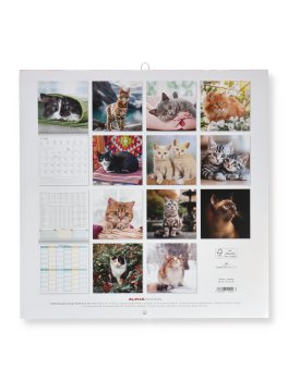 Calendario da Parete Gatti 2027 — Calendario - 4