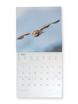 Calendario da Parete Gufi 2027 — Calendario - 2