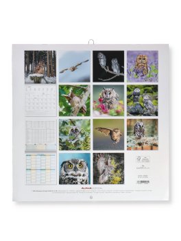 Calendario da Parete Gufi 2027 — Calendario - 4