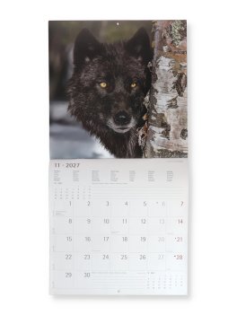 Calendario da Parete Lupi 2027 — Calendario - 2