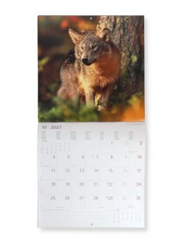 Calendario da Parete Lupi 2027 — Calendario - 3