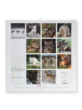 Calendario da Parete Lupi 2027 — Calendario - 4