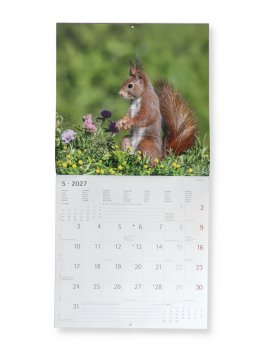 Calendario da Parete Scoiattoli 2027 — Calendario - 2