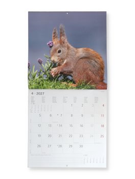 Calendario da Parete Scoiattoli 2027 — Calendario - 3