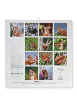 Calendario da Parete Scoiattoli 2027 — Calendario - 4