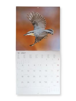 Calendario da Parete Uccelli 2027 — Calendario - 2