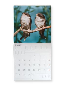 Calendario da Parete Uccelli 2027 — Calendario - 3