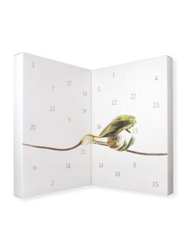 Calendario dell'Avvento 2026 Dr.Hauschka Bliss - 4
