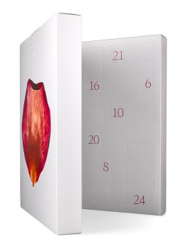 Calendario dell’Avvento Dr.Hauschka 2025 Daily Delight - 2
