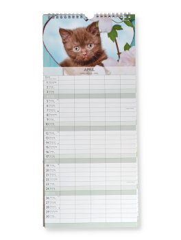 Calendario Familiare Gattini 2027 — Calendario - 2
