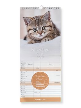 Calendario Familiare Gattini 2027 — Calendario - 1