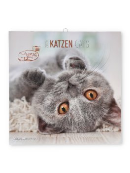 Calendario Gatti 2025