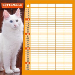 Calendario Gatti 2026 — Calendario - 2