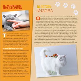Calendario Gatti 2026 — Calendario - 3