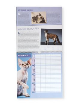 Calendario Gatti 2027 — Calendario - 2