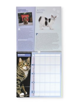 Calendario Gatti 2027 — Calendario - 3