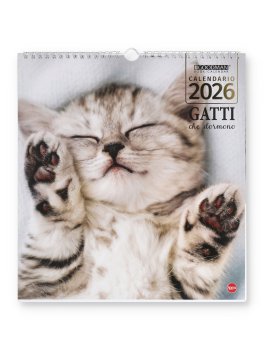 Calendario Gatti che Dormono 2026 — Calendario - 1