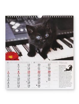Calendario Gatti e Marachelle 2026 — Calendario - 2