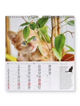 Calendario Gatti e Marachelle 2026 — Calendario - 3