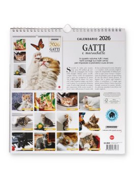Calendario Gatti e Marachelle 2026 — Calendario - 4