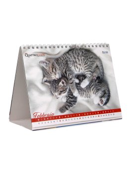 Calendario Gatti & Relax 14 Mesi -  2026 — Calendario - 3